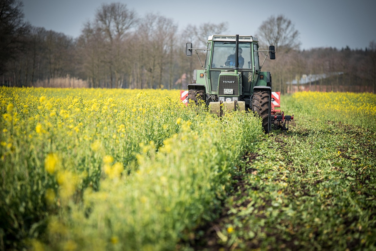 catch crop, tractor, nature, field, cultivate, agriculture, agricultural economics, agricultural machine, cultivator, agricultural engineering, spring
